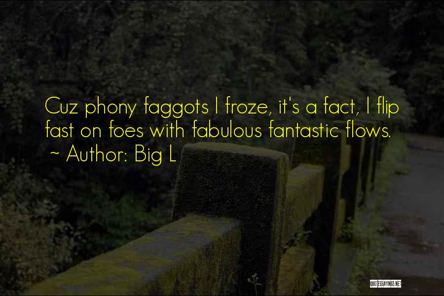 Big L Quotes: Cuz Phony Faggots I Froze, It's A Fact, I Flip Fast On Foes With Fabulous Fantastic Flows.