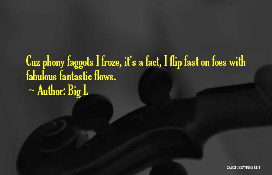 Big L Quotes: Cuz Phony Faggots I Froze, It's A Fact, I Flip Fast On Foes With Fabulous Fantastic Flows.
