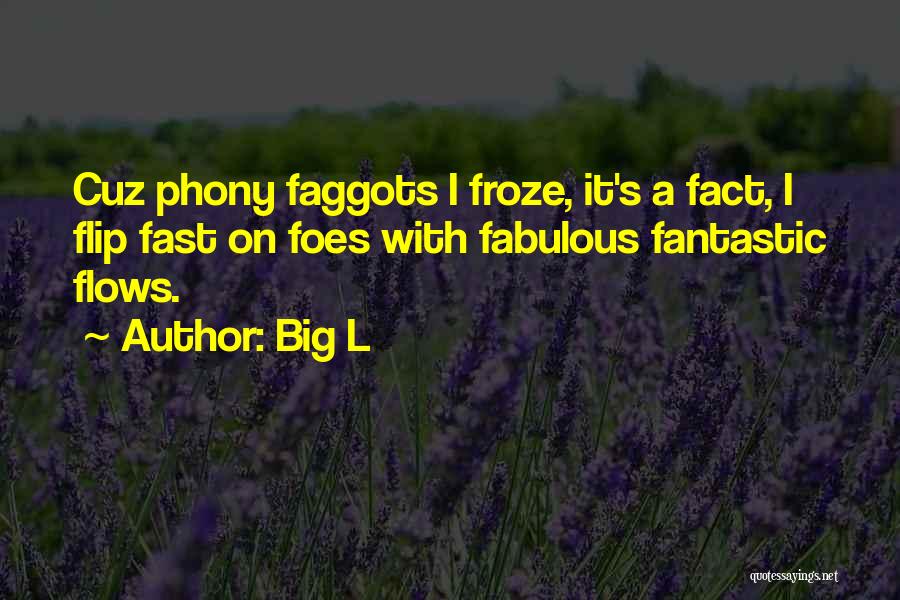 Big L Quotes: Cuz Phony Faggots I Froze, It's A Fact, I Flip Fast On Foes With Fabulous Fantastic Flows.