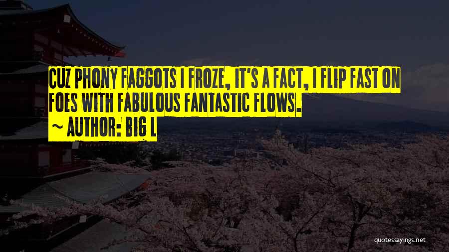 Big L Quotes: Cuz Phony Faggots I Froze, It's A Fact, I Flip Fast On Foes With Fabulous Fantastic Flows.