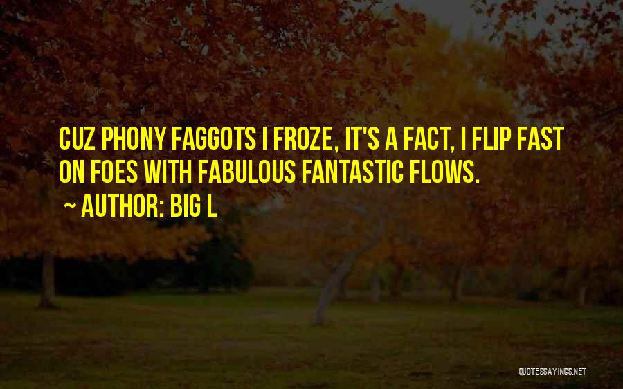 Big L Quotes: Cuz Phony Faggots I Froze, It's A Fact, I Flip Fast On Foes With Fabulous Fantastic Flows.