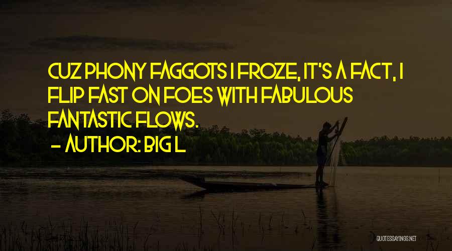 Big L Quotes: Cuz Phony Faggots I Froze, It's A Fact, I Flip Fast On Foes With Fabulous Fantastic Flows.