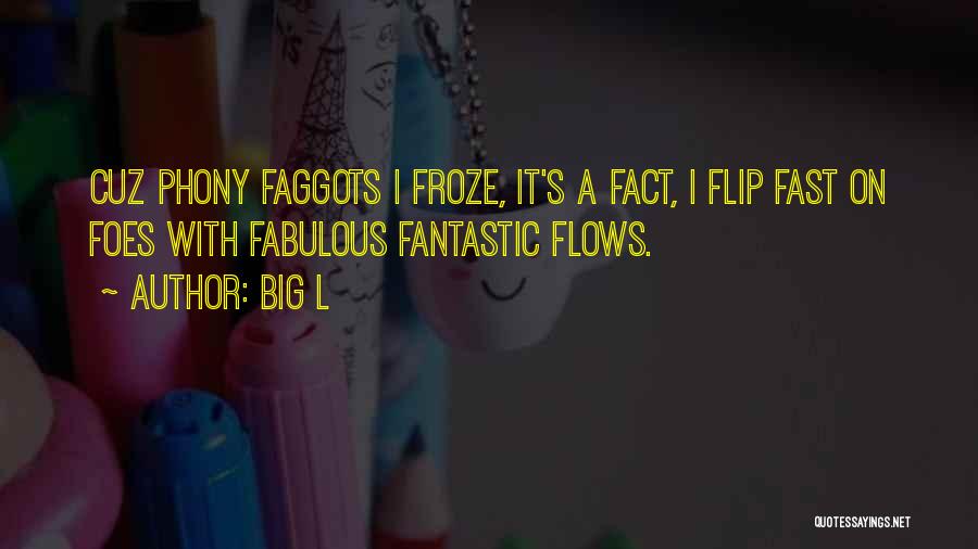 Big L Quotes: Cuz Phony Faggots I Froze, It's A Fact, I Flip Fast On Foes With Fabulous Fantastic Flows.