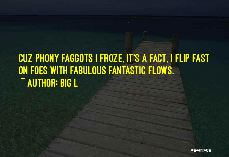 Big L Quotes: Cuz Phony Faggots I Froze, It's A Fact, I Flip Fast On Foes With Fabulous Fantastic Flows.