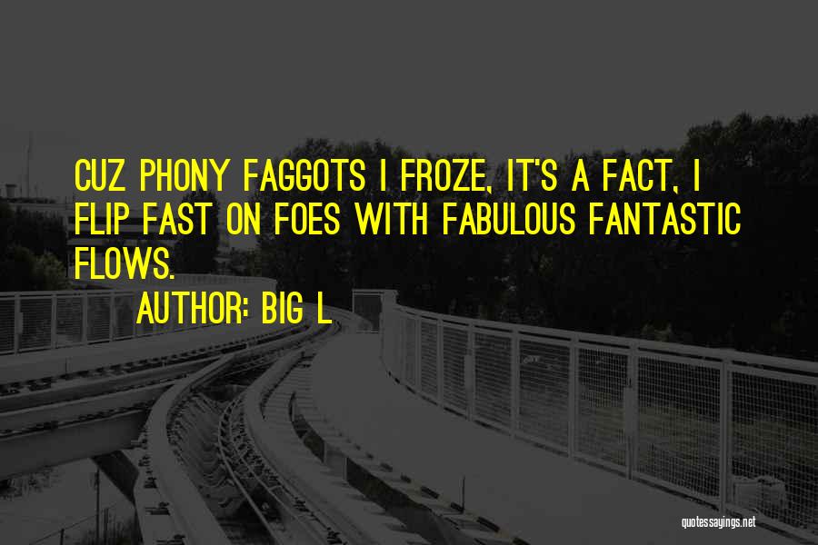 Big L Quotes: Cuz Phony Faggots I Froze, It's A Fact, I Flip Fast On Foes With Fabulous Fantastic Flows.