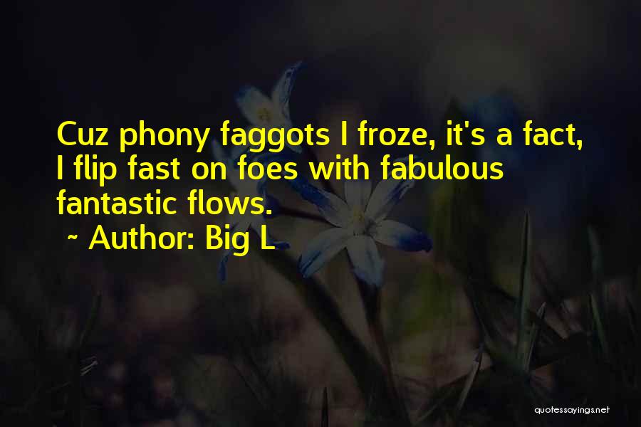 Big L Quotes: Cuz Phony Faggots I Froze, It's A Fact, I Flip Fast On Foes With Fabulous Fantastic Flows.