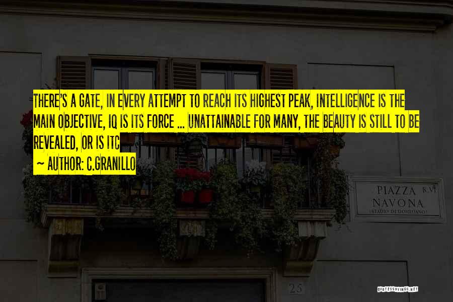C.Granillo Quotes: There's A Gate, In Every Attempt To Reach Its Highest Peak, Intelligence Is The Main Objective, Iq Is Its Force