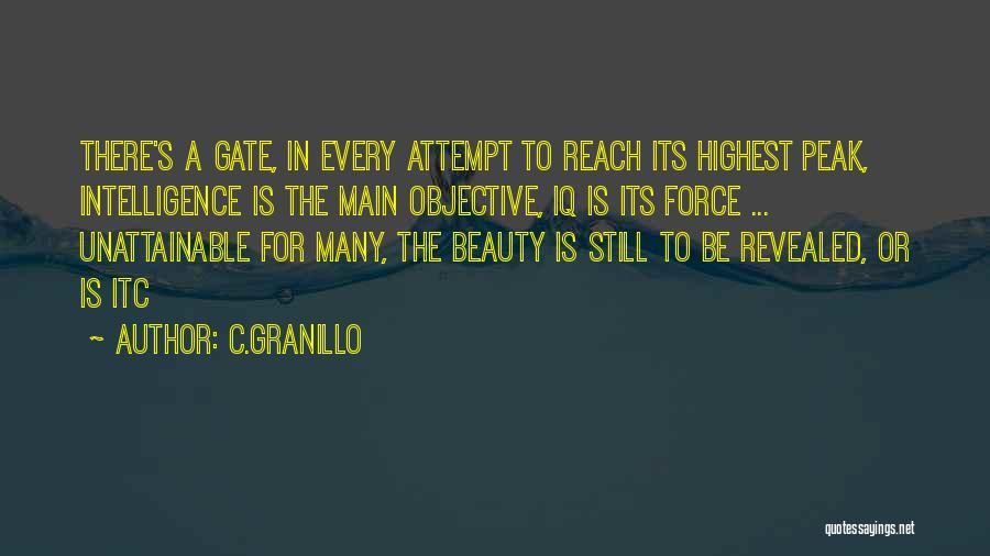 C.Granillo Quotes: There's A Gate, In Every Attempt To Reach Its Highest Peak, Intelligence Is The Main Objective, Iq Is Its Force