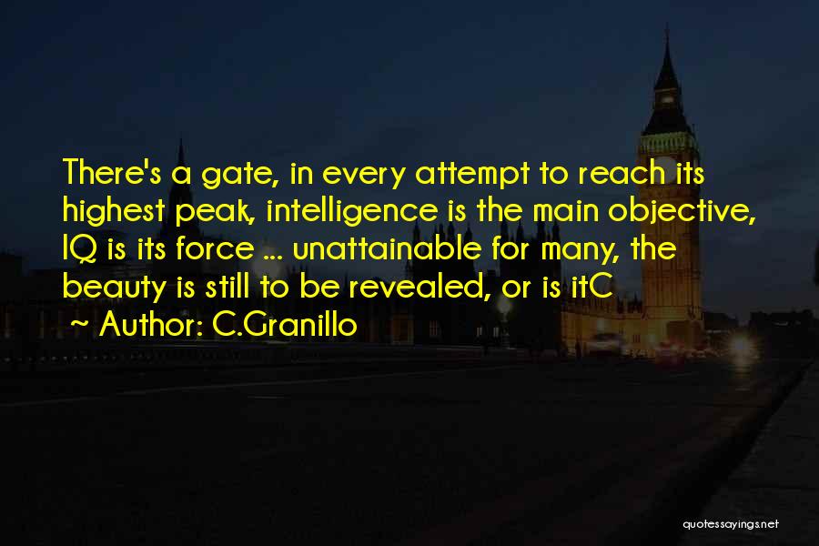 C.Granillo Quotes: There's A Gate, In Every Attempt To Reach Its Highest Peak, Intelligence Is The Main Objective, Iq Is Its Force