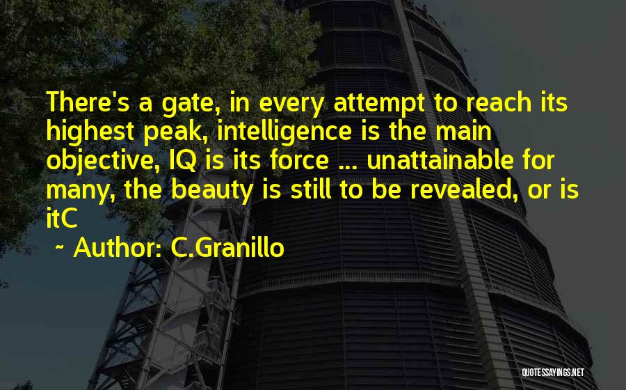 C.Granillo Quotes: There's A Gate, In Every Attempt To Reach Its Highest Peak, Intelligence Is The Main Objective, Iq Is Its Force