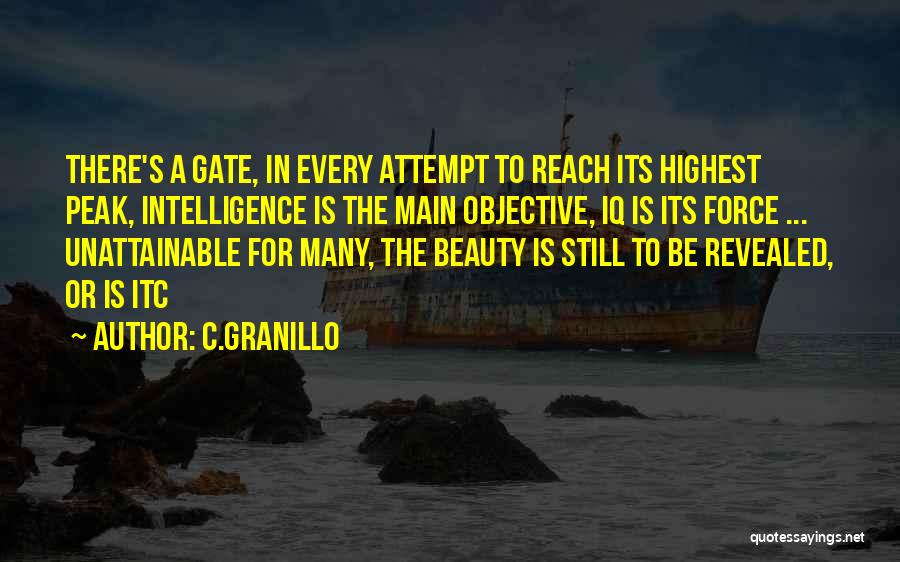 C.Granillo Quotes: There's A Gate, In Every Attempt To Reach Its Highest Peak, Intelligence Is The Main Objective, Iq Is Its Force