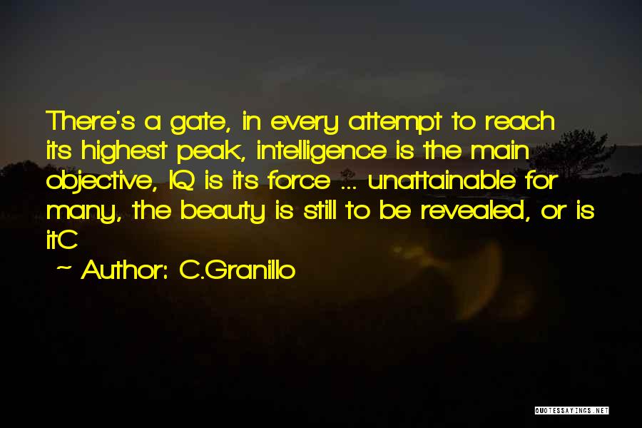 C.Granillo Quotes: There's A Gate, In Every Attempt To Reach Its Highest Peak, Intelligence Is The Main Objective, Iq Is Its Force
