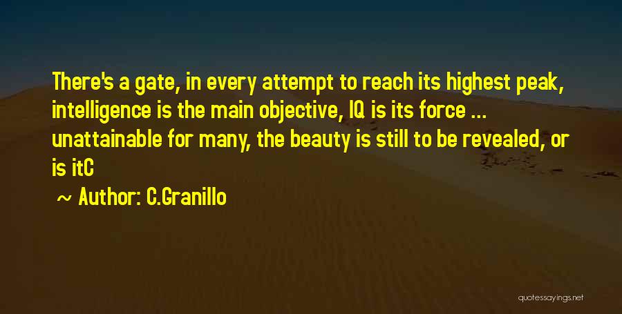 C.Granillo Quotes: There's A Gate, In Every Attempt To Reach Its Highest Peak, Intelligence Is The Main Objective, Iq Is Its Force