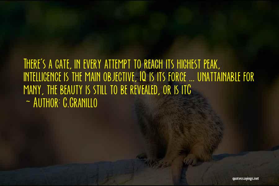 C.Granillo Quotes: There's A Gate, In Every Attempt To Reach Its Highest Peak, Intelligence Is The Main Objective, Iq Is Its Force