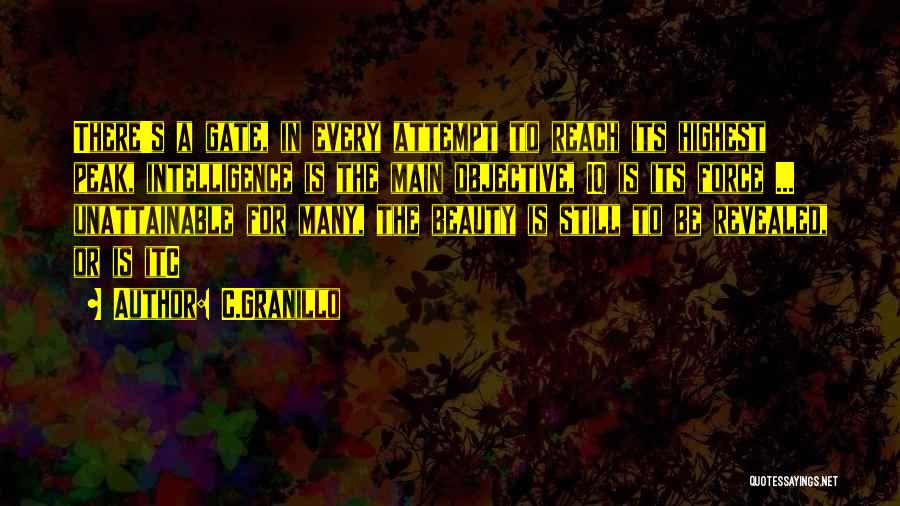 C.Granillo Quotes: There's A Gate, In Every Attempt To Reach Its Highest Peak, Intelligence Is The Main Objective, Iq Is Its Force