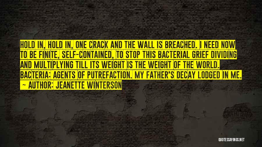 Jeanette Winterson Quotes: Hold In, Hold In, One Crack And The Wall Is Breached. I Need Now To Be Finite, Self-contained, To Stop