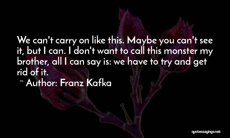 Franz Kafka Quotes: We Can't Carry On Like This. Maybe You Can't See It, But I Can. I Don't Want To Call This