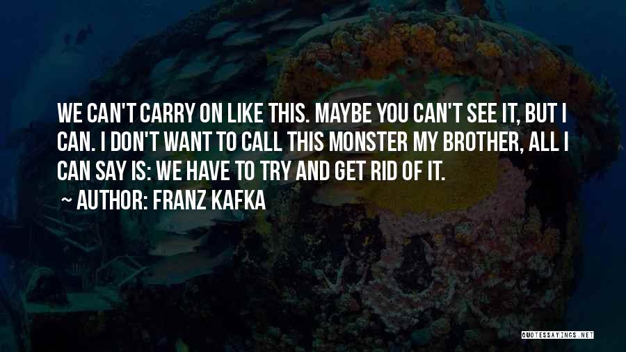Franz Kafka Quotes: We Can't Carry On Like This. Maybe You Can't See It, But I Can. I Don't Want To Call This