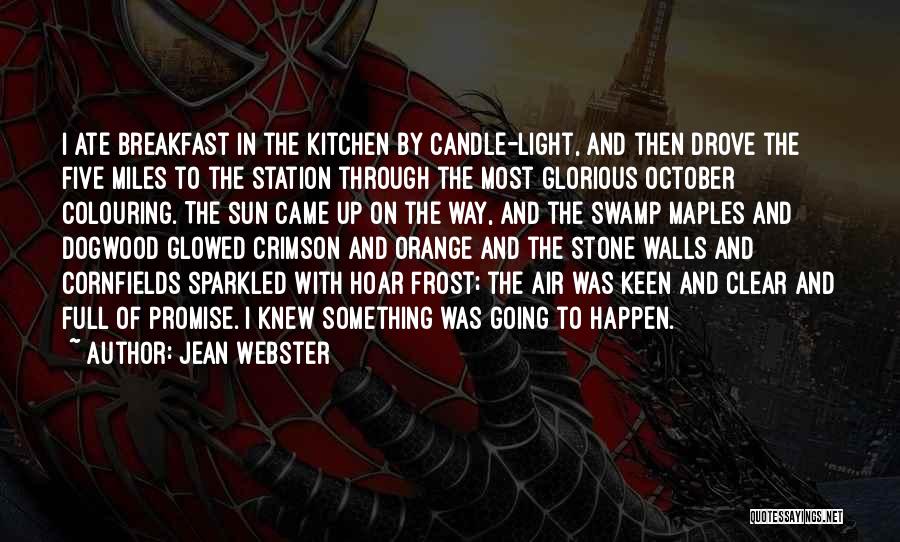 Jean Webster Quotes: I Ate Breakfast In The Kitchen By Candle-light, And Then Drove The Five Miles To The Station Through The Most