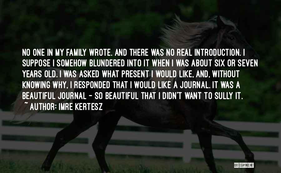 Imre Kertesz Quotes: No One In My Family Wrote. And There Was No Real Introduction. I Suppose I Somehow Blundered Into It When