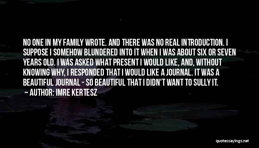 Imre Kertesz Quotes: No One In My Family Wrote. And There Was No Real Introduction. I Suppose I Somehow Blundered Into It When