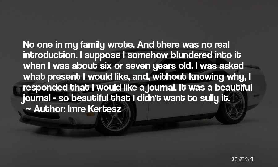 Imre Kertesz Quotes: No One In My Family Wrote. And There Was No Real Introduction. I Suppose I Somehow Blundered Into It When