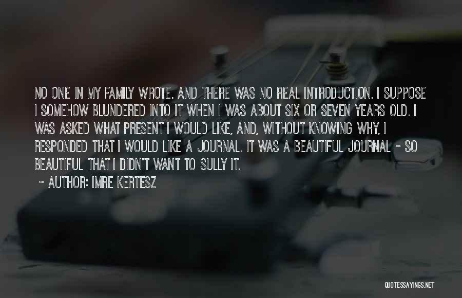 Imre Kertesz Quotes: No One In My Family Wrote. And There Was No Real Introduction. I Suppose I Somehow Blundered Into It When