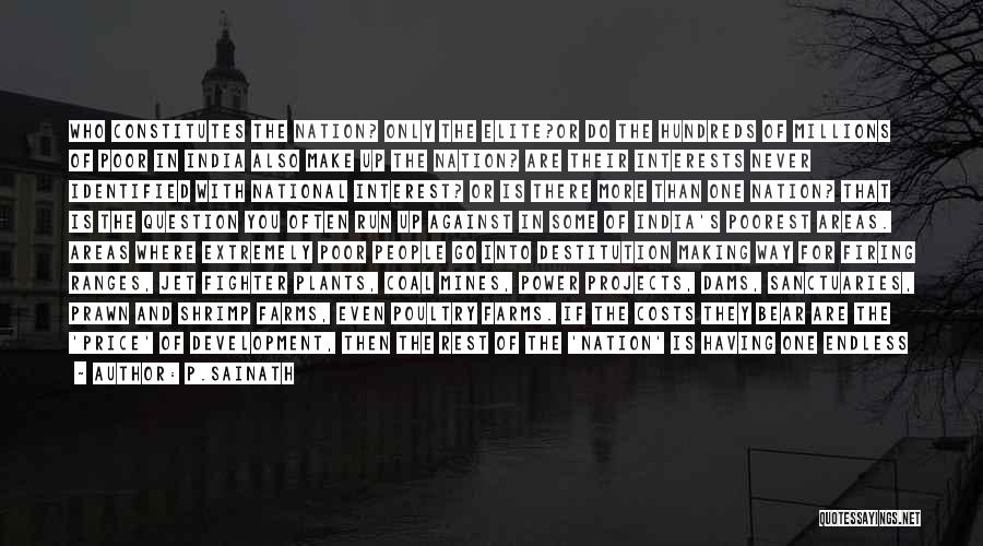 P.Sainath Quotes: Who Constitutes The Nation? Only The Elite?or Do The Hundreds Of Millions Of Poor In India Also Make Up The