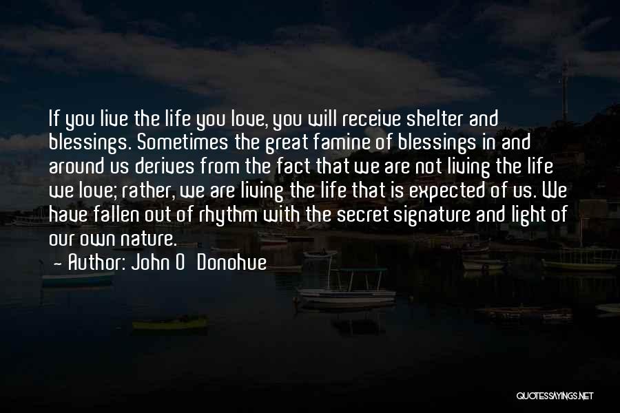 John O'Donohue Quotes: If You Live The Life You Love, You Will Receive Shelter And Blessings. Sometimes The Great Famine Of Blessings In