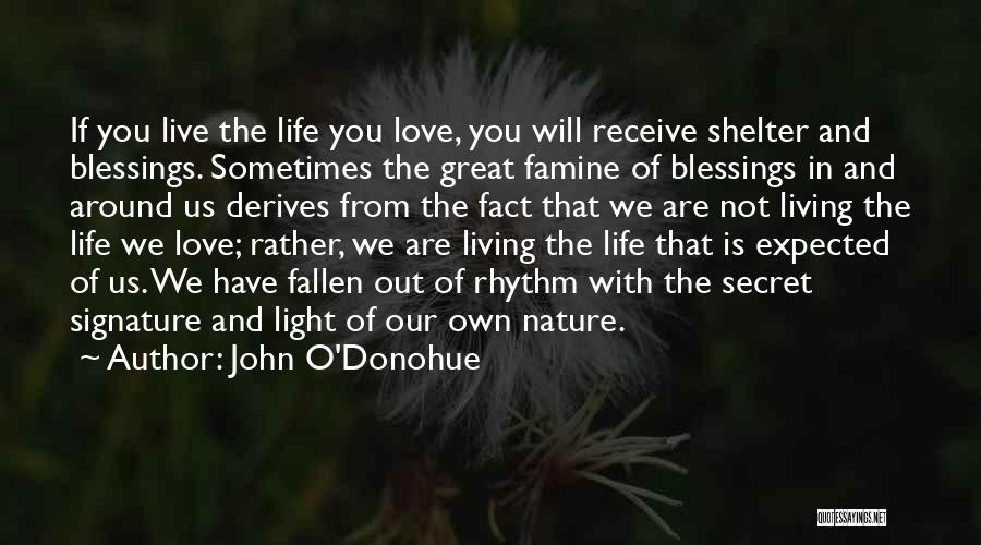John O'Donohue Quotes: If You Live The Life You Love, You Will Receive Shelter And Blessings. Sometimes The Great Famine Of Blessings In