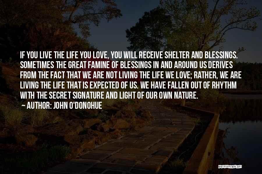 John O'Donohue Quotes: If You Live The Life You Love, You Will Receive Shelter And Blessings. Sometimes The Great Famine Of Blessings In