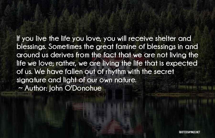 John O'Donohue Quotes: If You Live The Life You Love, You Will Receive Shelter And Blessings. Sometimes The Great Famine Of Blessings In