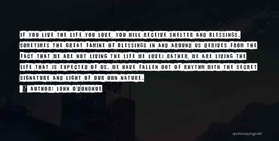 John O'Donohue Quotes: If You Live The Life You Love, You Will Receive Shelter And Blessings. Sometimes The Great Famine Of Blessings In