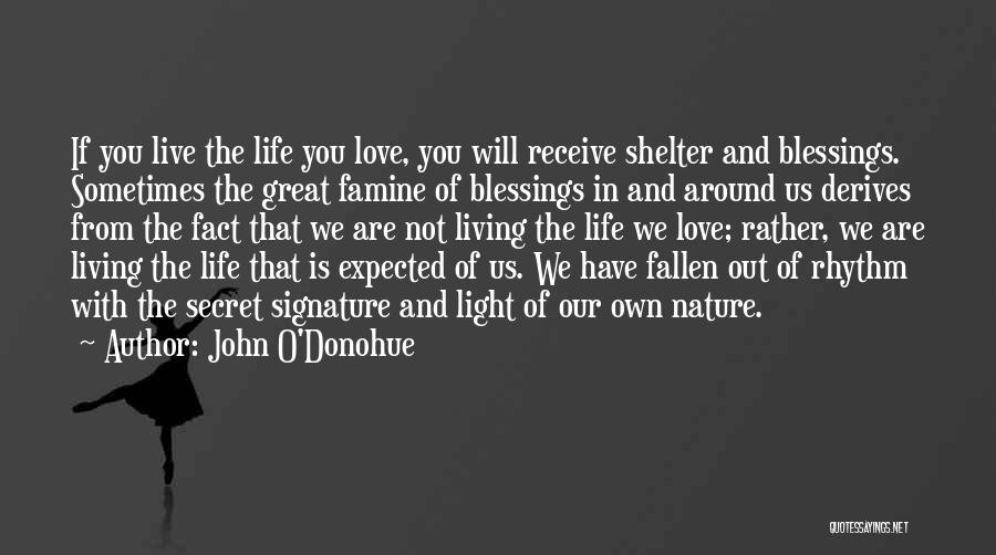 John O'Donohue Quotes: If You Live The Life You Love, You Will Receive Shelter And Blessings. Sometimes The Great Famine Of Blessings In