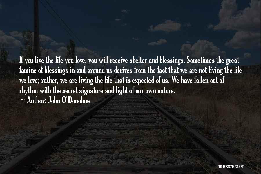 John O'Donohue Quotes: If You Live The Life You Love, You Will Receive Shelter And Blessings. Sometimes The Great Famine Of Blessings In