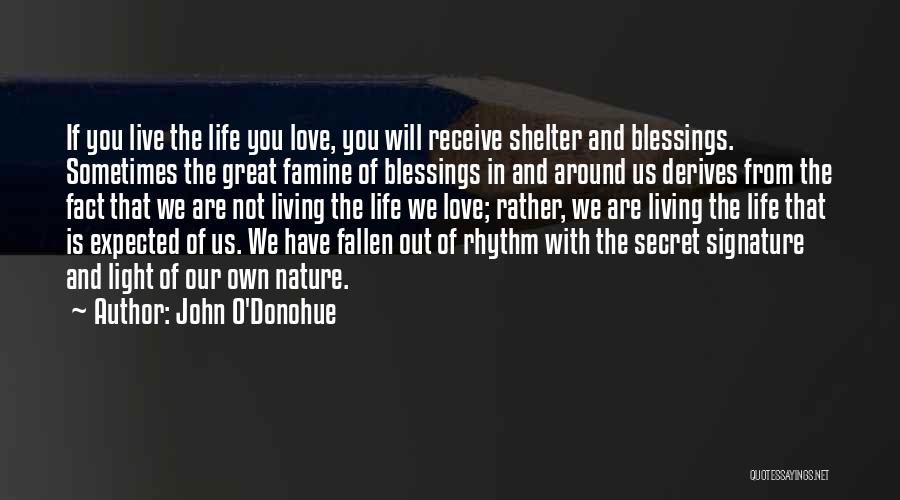John O'Donohue Quotes: If You Live The Life You Love, You Will Receive Shelter And Blessings. Sometimes The Great Famine Of Blessings In