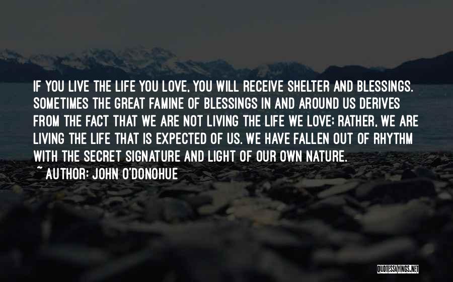 John O'Donohue Quotes: If You Live The Life You Love, You Will Receive Shelter And Blessings. Sometimes The Great Famine Of Blessings In