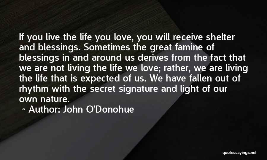John O'Donohue Quotes: If You Live The Life You Love, You Will Receive Shelter And Blessings. Sometimes The Great Famine Of Blessings In