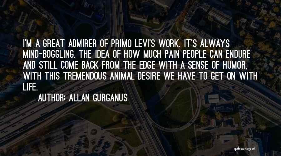 Allan Gurganus Quotes: I'm A Great Admirer Of Primo Levi's Work. It's Always Mind-boggling, The Idea Of How Much Pain People Can Endure