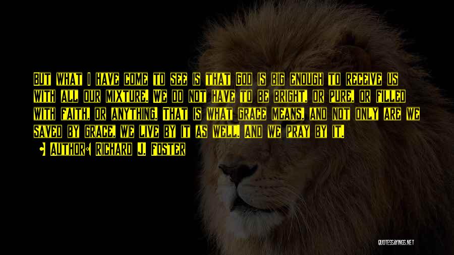 Richard J. Foster Quotes: But What I Have Come To See Is That God Is Big Enough To Receive Us With All Our Mixture.