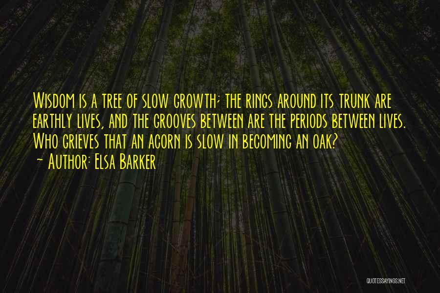 Elsa Barker Quotes: Wisdom Is A Tree Of Slow Growth; The Rings Around Its Trunk Are Earthly Lives, And The Grooves Between Are