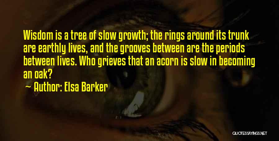 Elsa Barker Quotes: Wisdom Is A Tree Of Slow Growth; The Rings Around Its Trunk Are Earthly Lives, And The Grooves Between Are