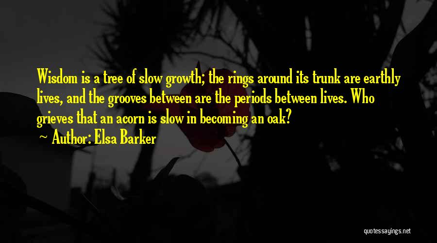 Elsa Barker Quotes: Wisdom Is A Tree Of Slow Growth; The Rings Around Its Trunk Are Earthly Lives, And The Grooves Between Are