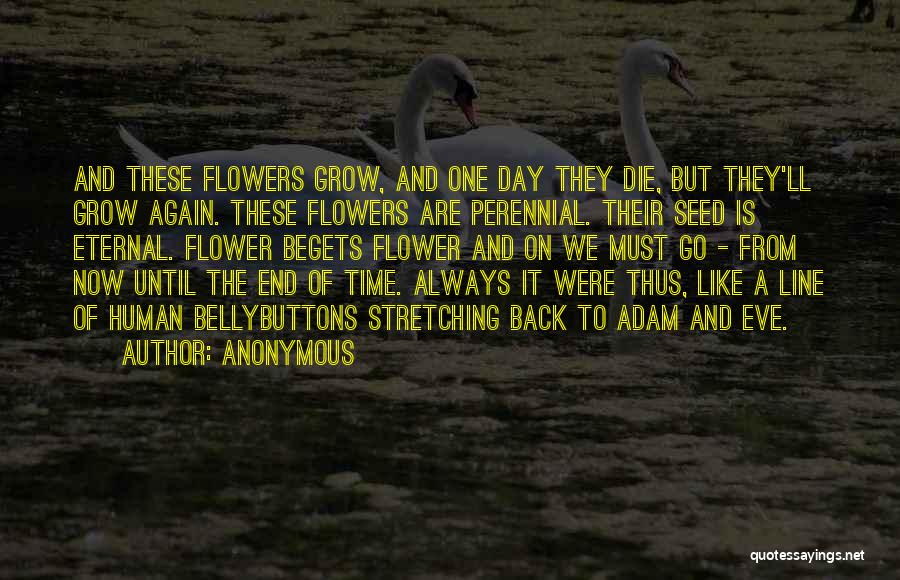 Anonymous Quotes: And These Flowers Grow, And One Day They Die, But They'll Grow Again. These Flowers Are Perennial. Their Seed Is