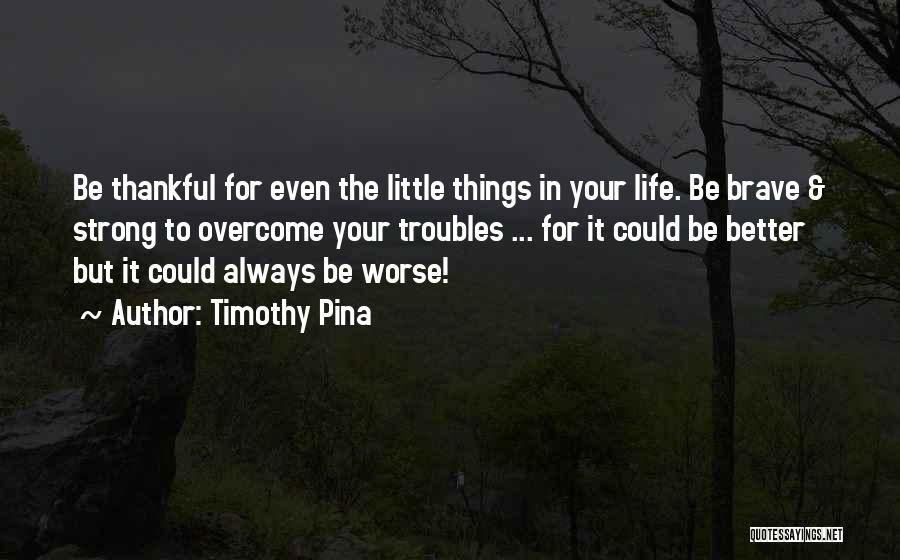 Timothy Pina Quotes: Be Thankful For Even The Little Things In Your Life. Be Brave & Strong To Overcome Your Troubles ... For