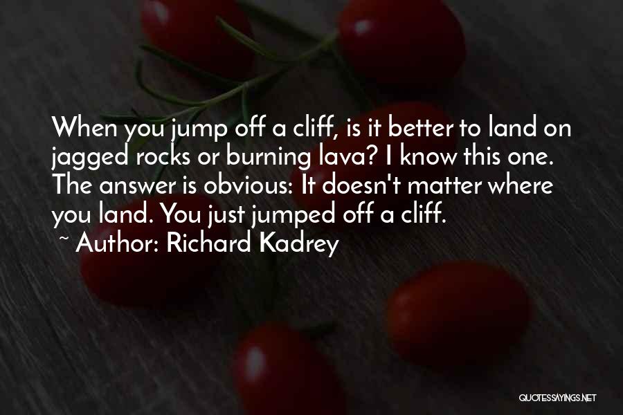 Richard Kadrey Quotes: When You Jump Off A Cliff, Is It Better To Land On Jagged Rocks Or Burning Lava? I Know This
