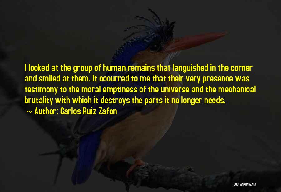 Carlos Ruiz Zafon Quotes: I Looked At The Group Of Human Remains That Languished In The Corner And Smiled At Them. It Occurred To