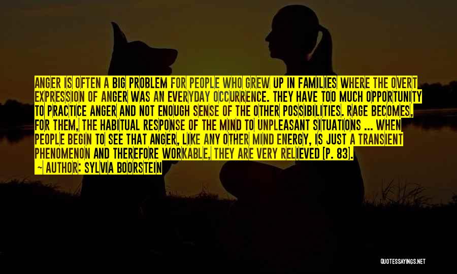 Sylvia Boorstein Quotes: Anger Is Often A Big Problem For People Who Grew Up In Families Where The Overt Expression Of Anger Was