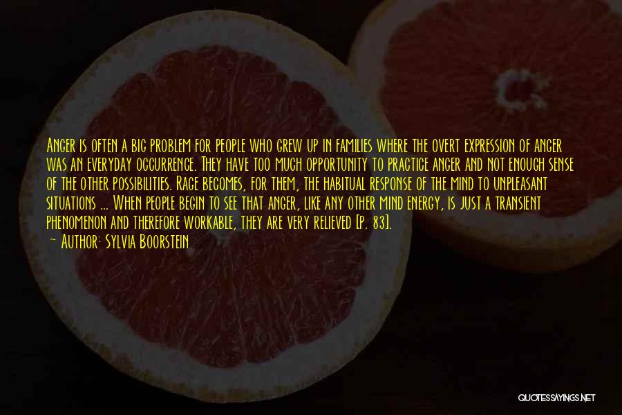 Sylvia Boorstein Quotes: Anger Is Often A Big Problem For People Who Grew Up In Families Where The Overt Expression Of Anger Was