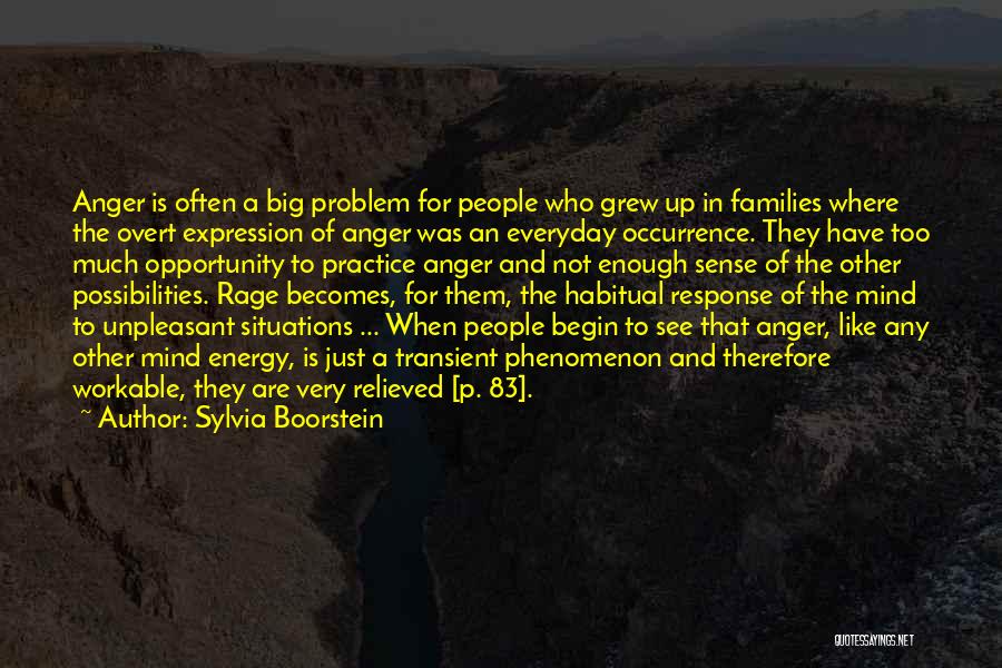 Sylvia Boorstein Quotes: Anger Is Often A Big Problem For People Who Grew Up In Families Where The Overt Expression Of Anger Was